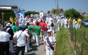 Bouquet Provincial 2009 4.JPG